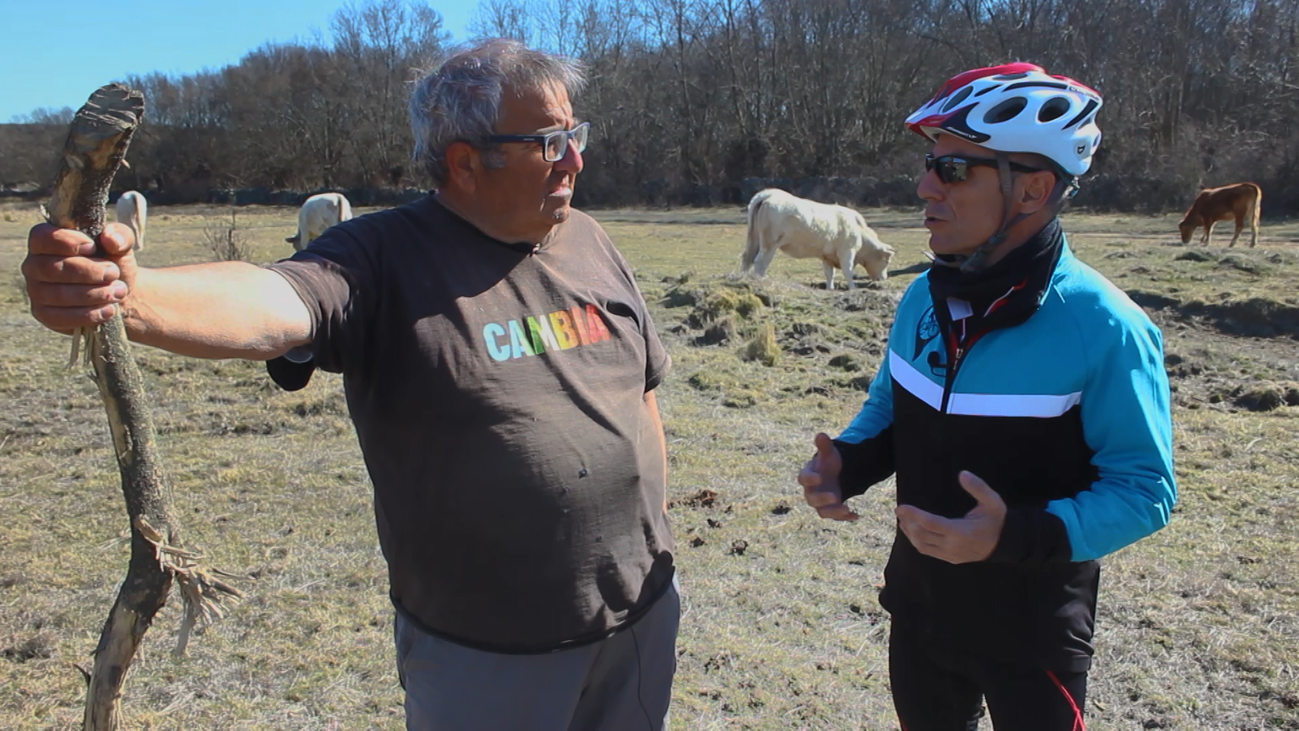 Colmenar Viejo, tierra de ganaderos