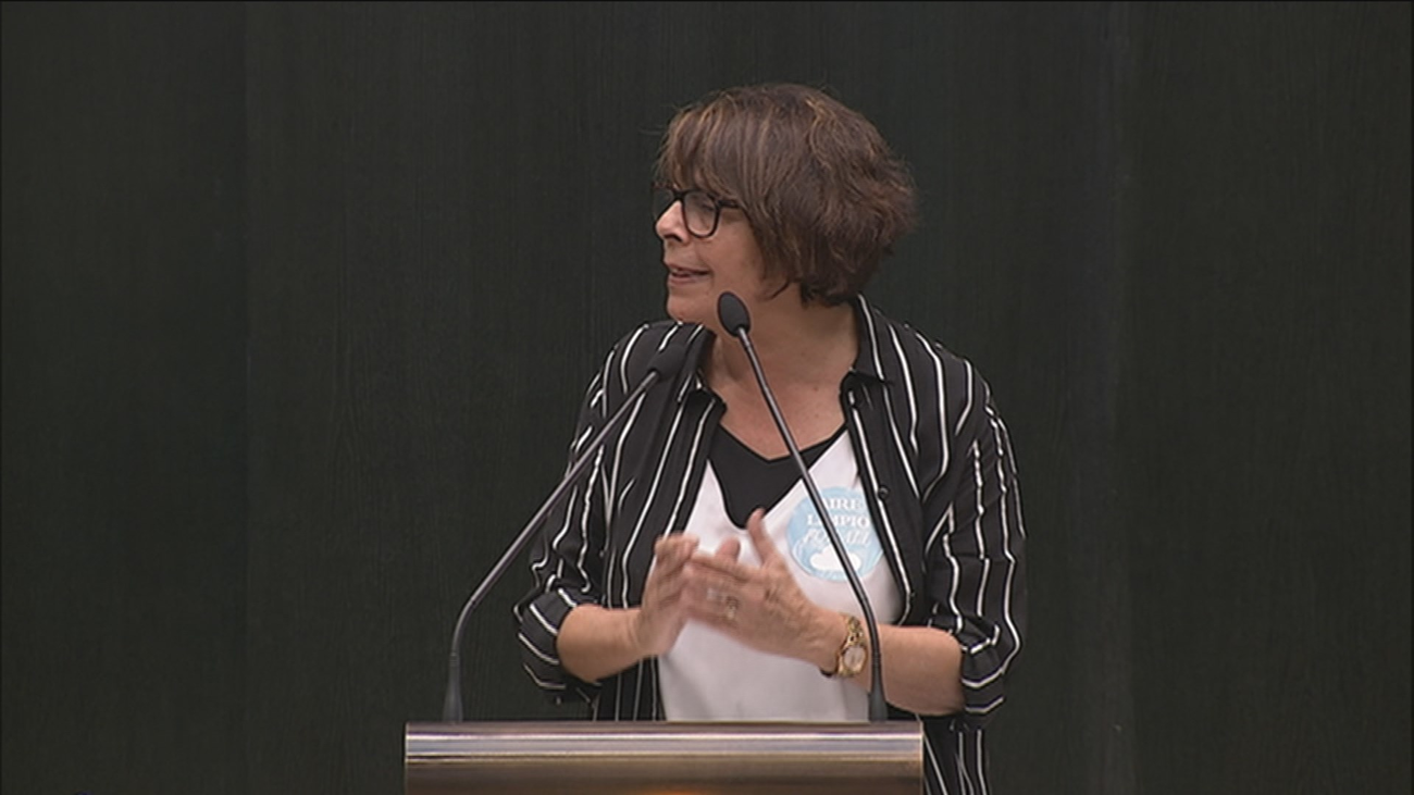 Sabanés  dice que se multará por Madrid Central "antes de las elecciones"