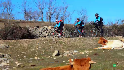 Km de bicicleta descubre la región a golpe de pedal