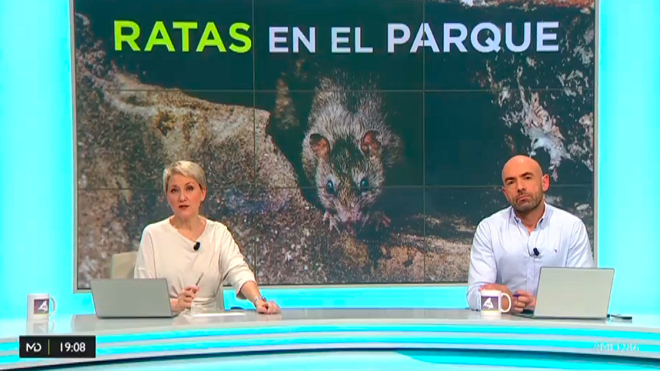 Madrid Directo 26.10.2018