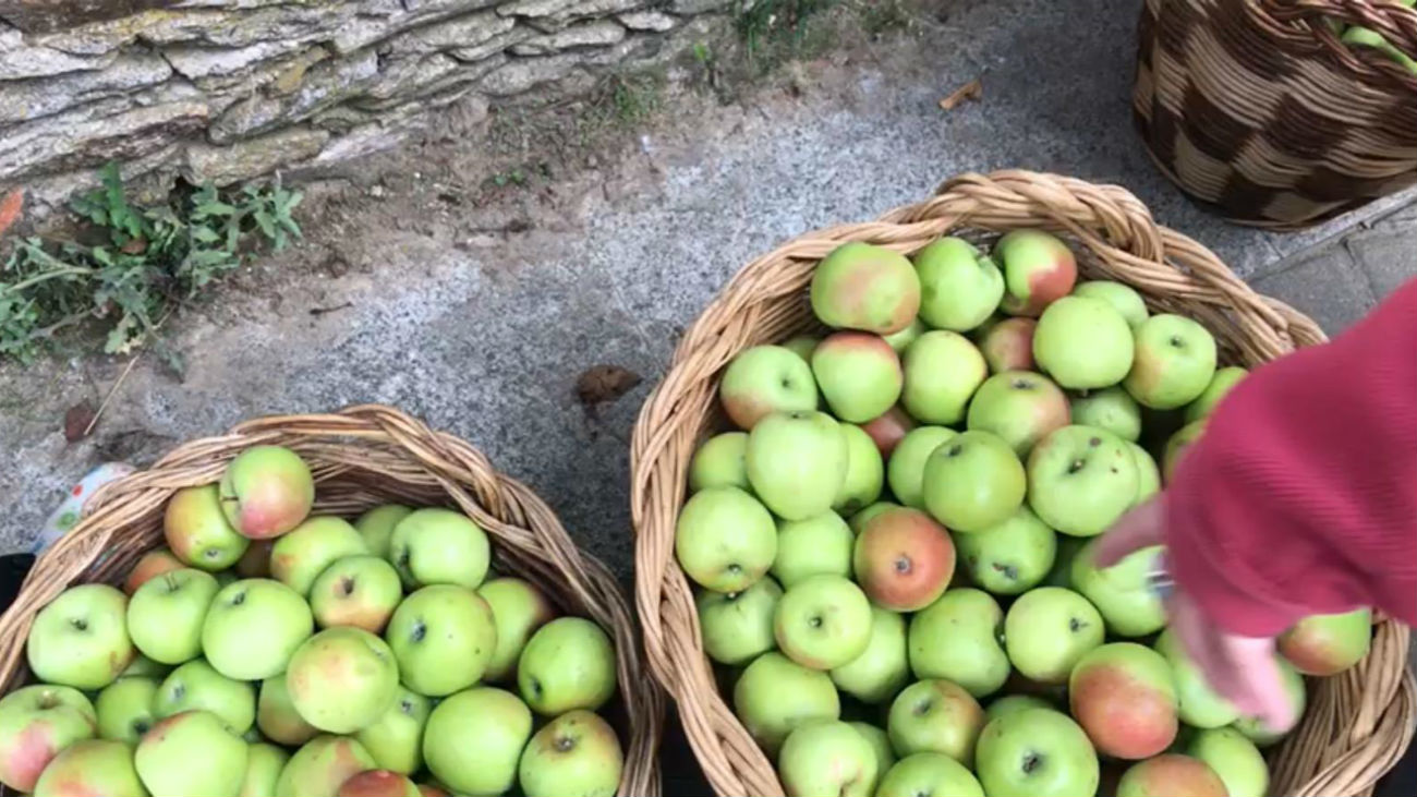 Llega la fiesta del pero