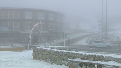 Domingo blanco en Navacerrada