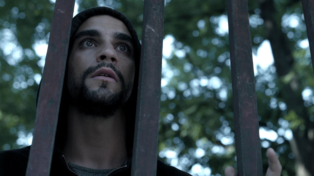 La víctima número 8 - Capítulo 6 - Un tiburón que nos haga aún más ricos a todos