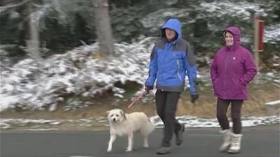 Buenos Días Madrid (08:30-10:30) 30.10.2018