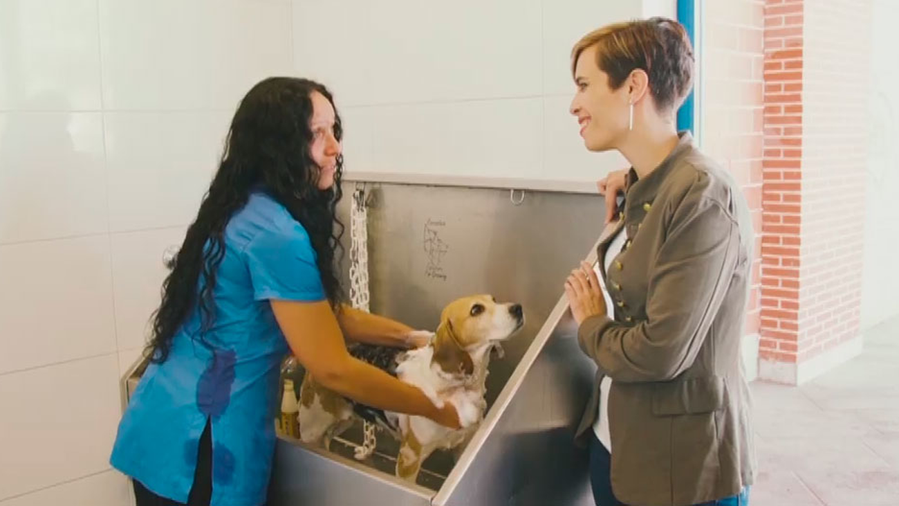 Arroyomolinos, la localidad de las mascotas