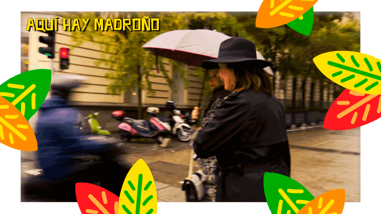 Carmen Martínez Bordiu comete una infracción de tráfico