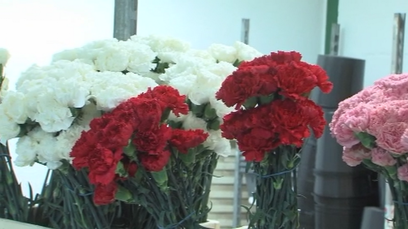 Flores para el Día de los Difuntos