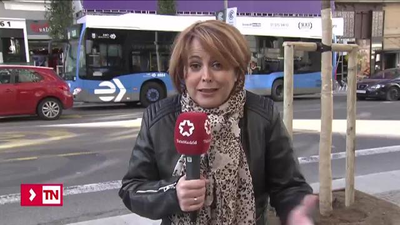 Gran Vía da la bienvenida a sus primeros árboles, 89 perales chinos