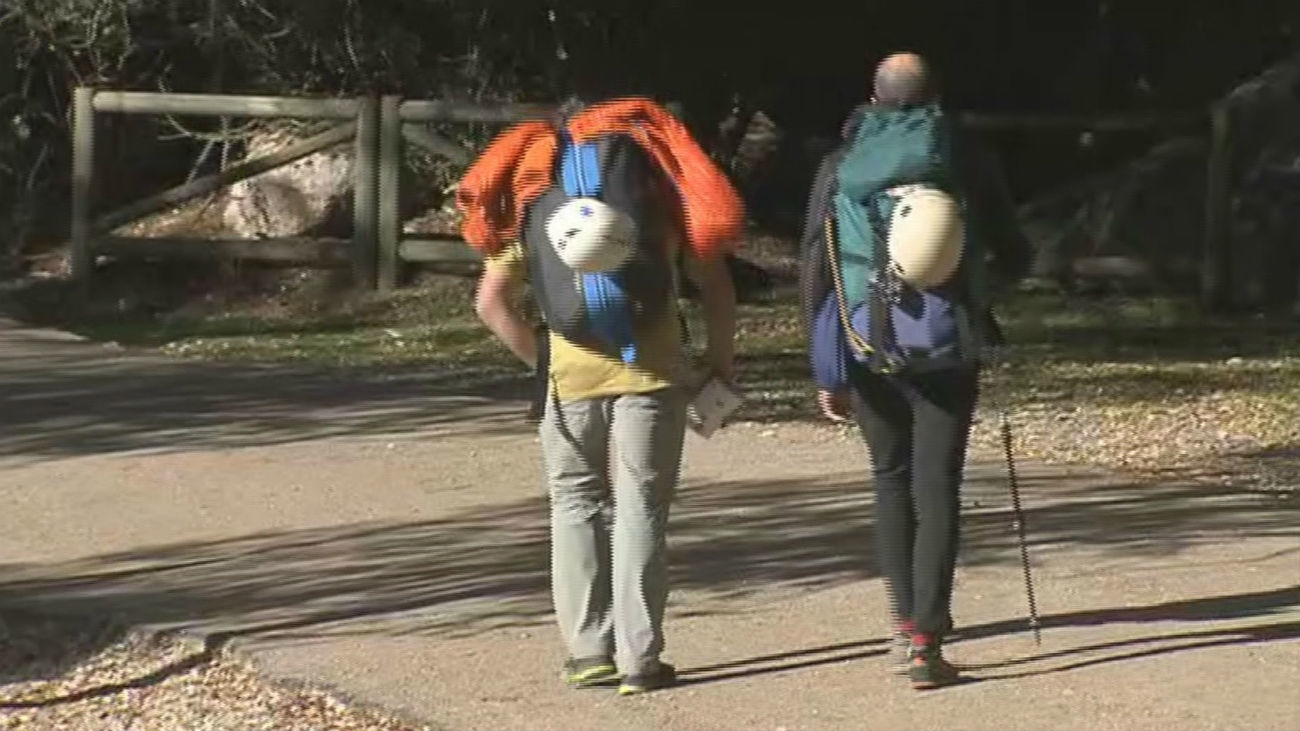 Un domingo en la sierra de Guadarrama