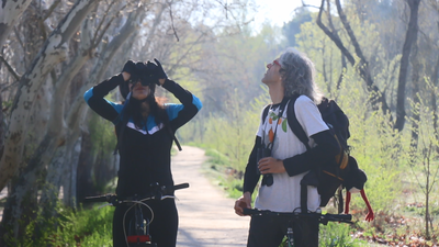 Te llevamos a ver aves a la Casa de Campo