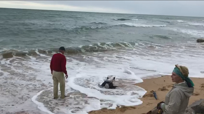Hallan el cadáver de un sexto inmigrante tras naufragar una patera en Cádiz