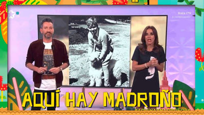 Aquí hay madroño 08.11.2018