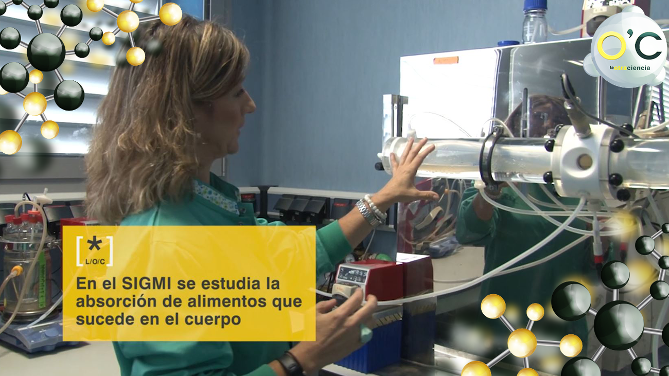 SIMGI el Simulador Gastrointestinal