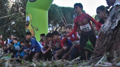 Madrid se Mueve 11.11.2018