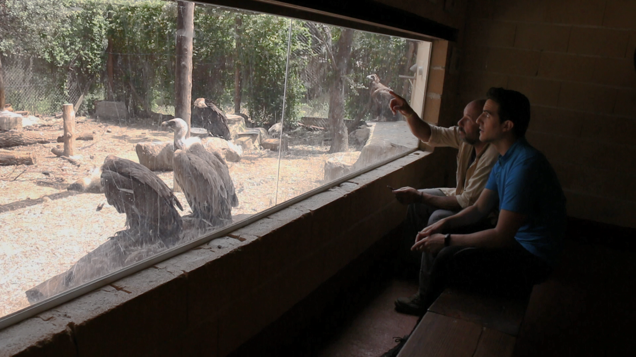 Visita al Grefa de Majadahonda