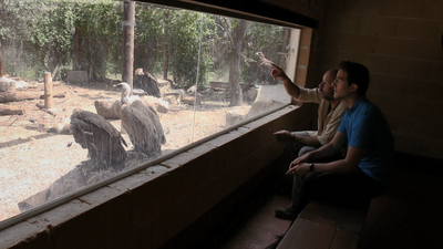 Visita al Grefa de Majadahonda