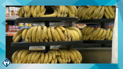 El plátano, el gran aliado de los deportistas
