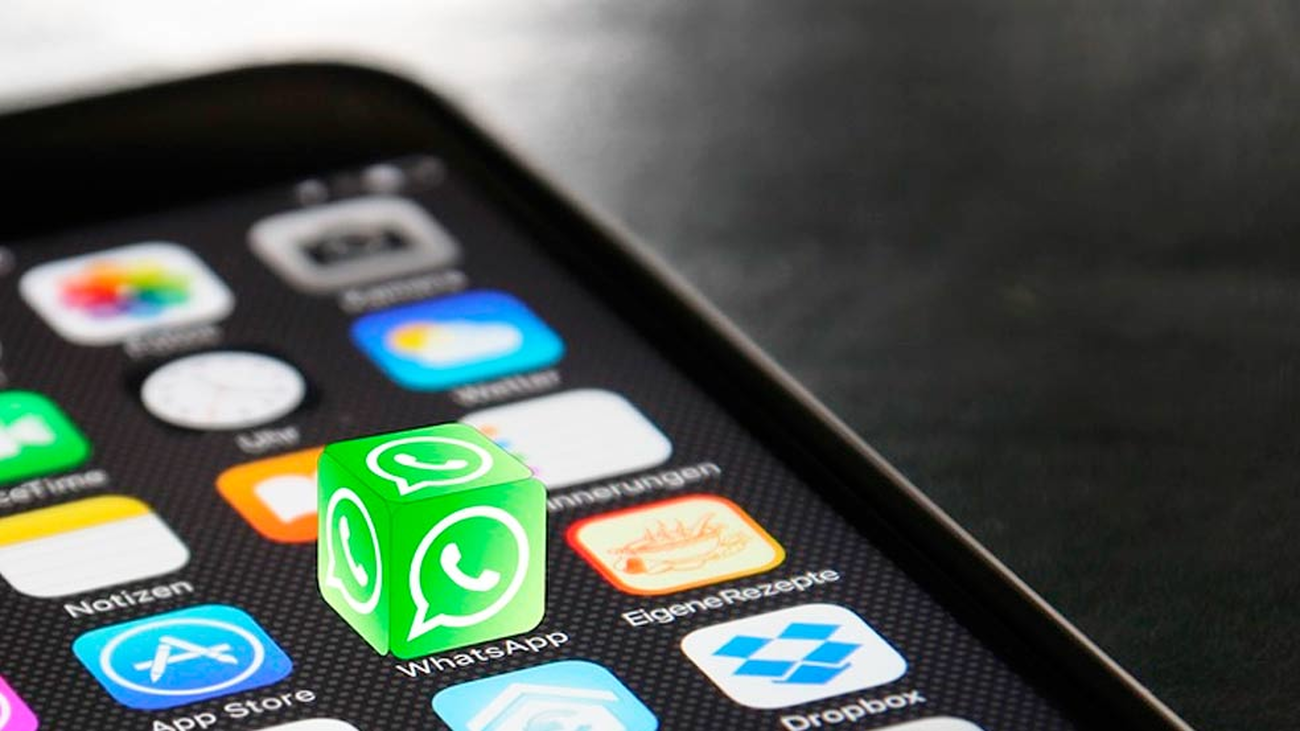 Cómo salvar tus archivos de WhatsApp y no morir en el intento