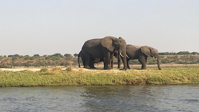 Descubrimos el Parque Nacional El Chobe