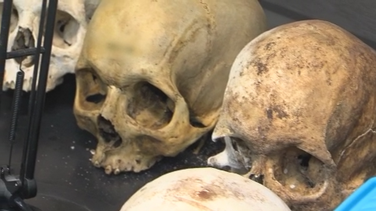 ¿Por qué hay tan pocos médicos forenses en la Comunidad de Madrid?