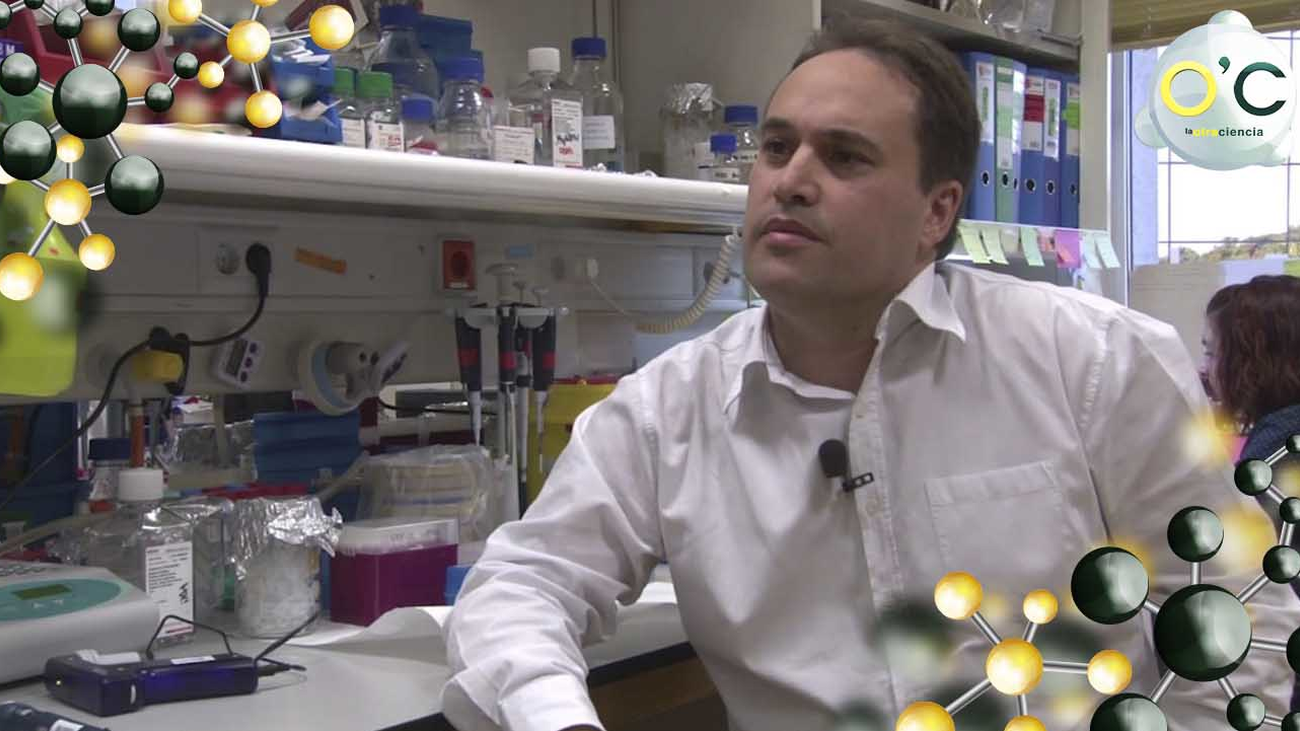 ¿Qué es un Melanoma Metastásico?