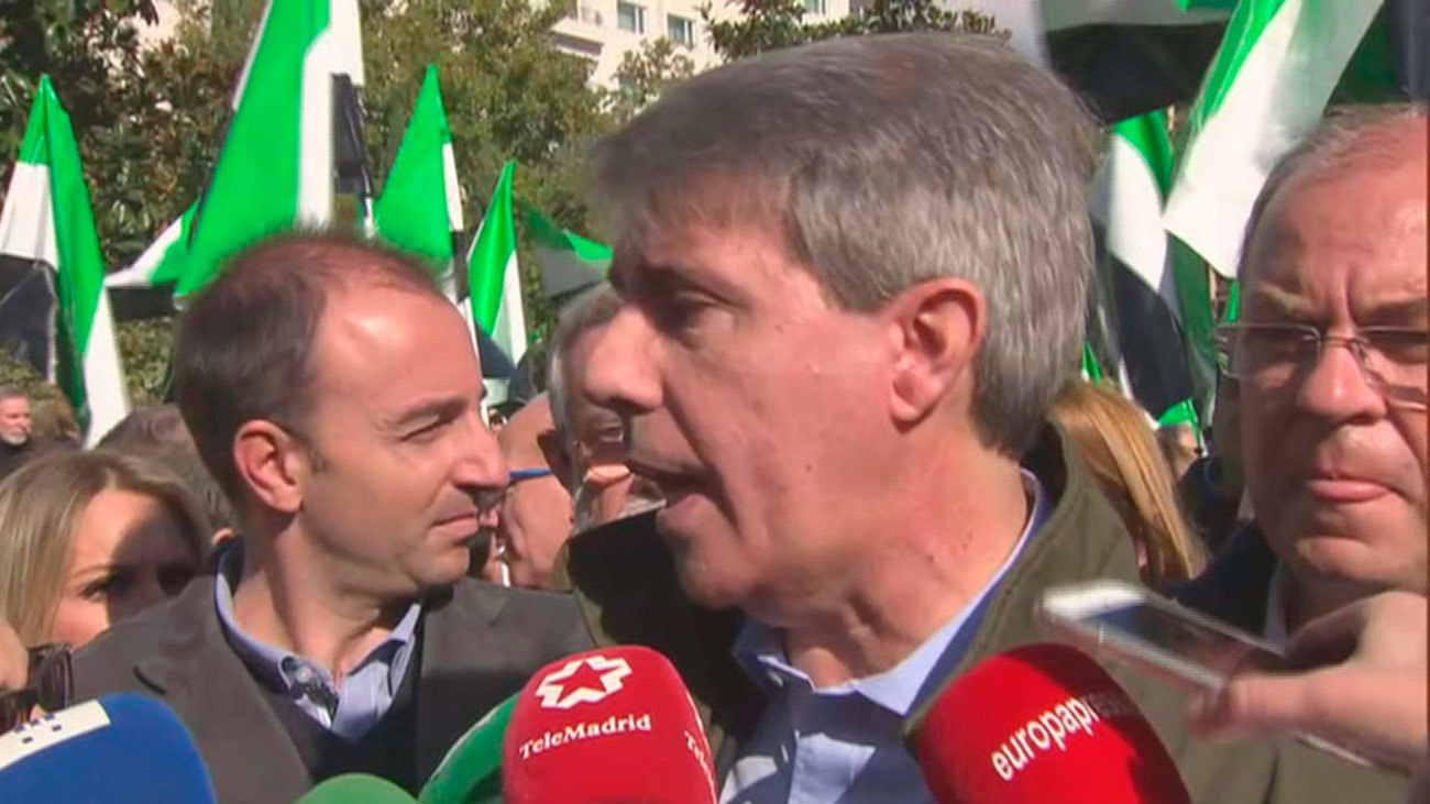 Garrido mantiene que presentará un recurso contra Madrid Central