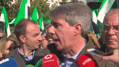 Garrido: Se recurrirá  el "absurdo  proyecto" de Madrid Central antes de que se ponga en marcha