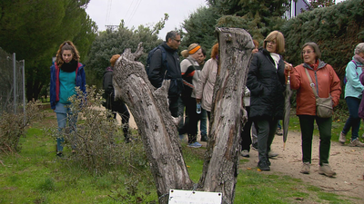 Los vecinos de Majadahonda quieren recuperar las vías pecuarias bajo el campo de golf