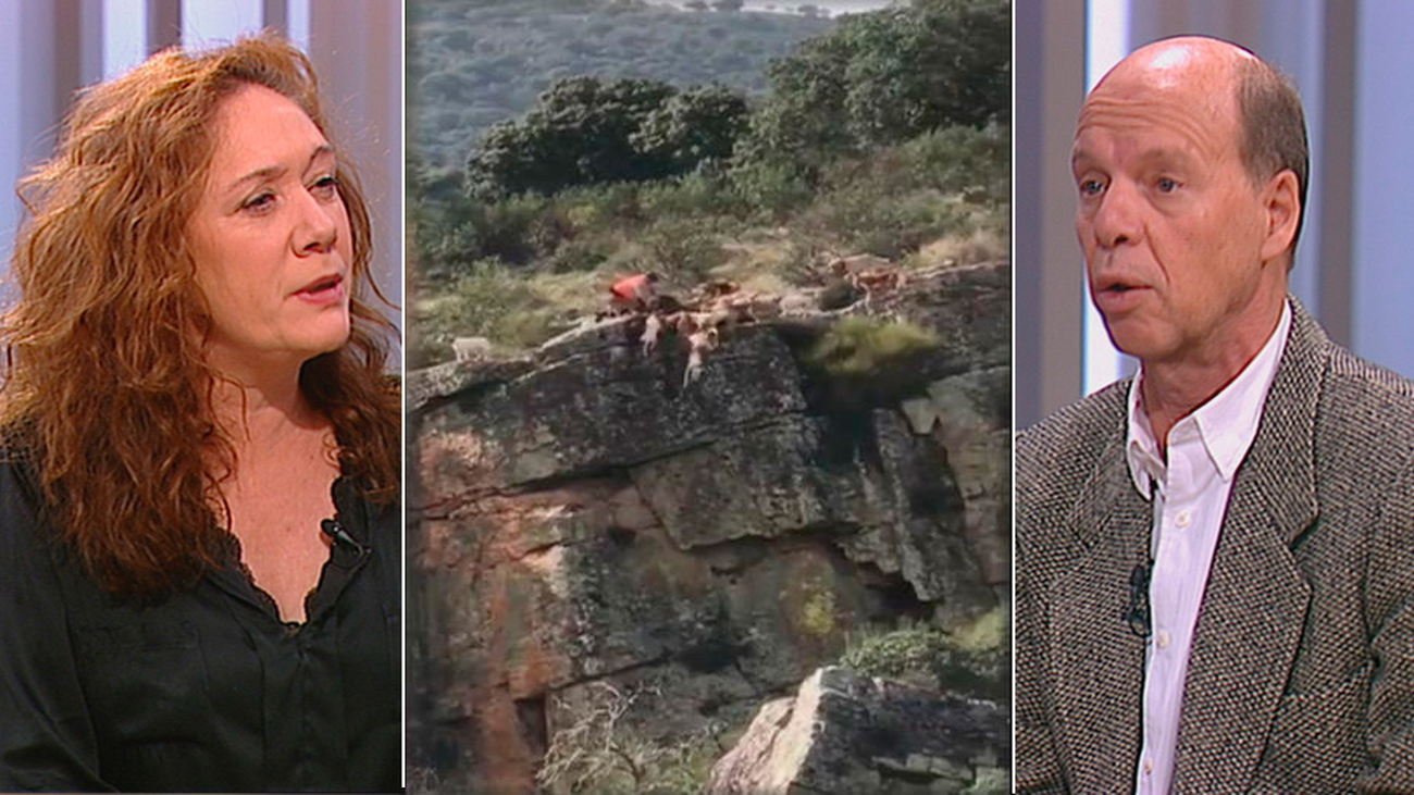 ¿Denunciarías al propietario de los perros que cayeron por un precipicio como maltrato animal?