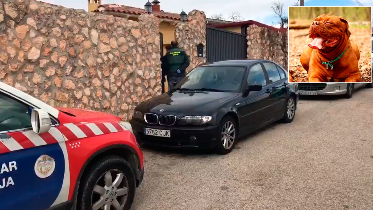 Una mujer y su hija mueren por el ataque de sus dos perros en Colmenar de Oreja