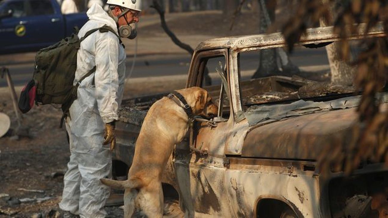 Incendio sde California