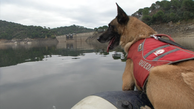 Un olfato de alcance subacuático