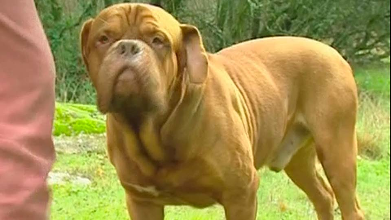 Las incógnitas que hay detrás de la tragedia de Colmenar de Oreja