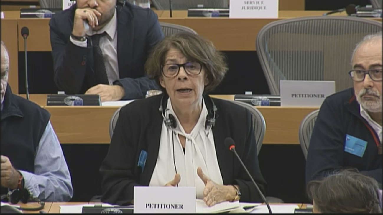 Sabanés denuncia en Bruselas el "obstruccionismo de la Comunidad" respecto a Madrid Central