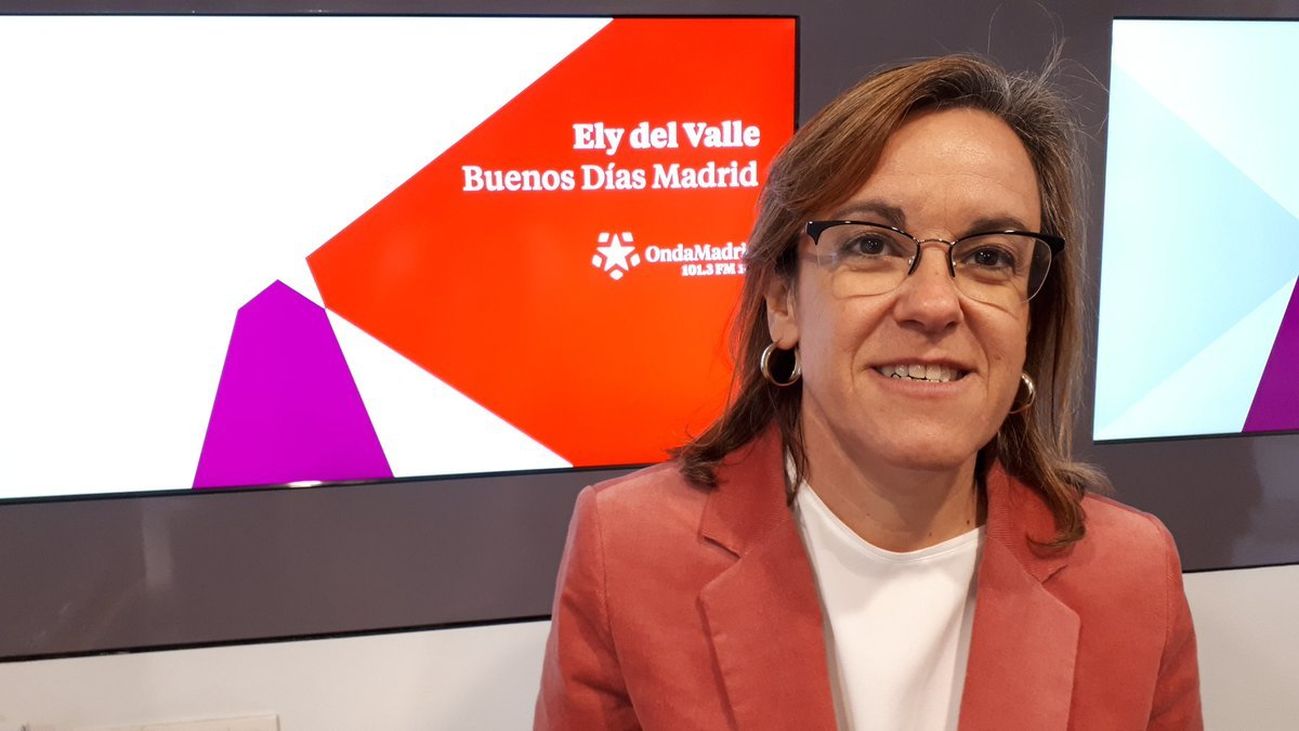 Causapié: "El Ayuntamiento tiene que ser más ágil en la campaña de información de Madrid Central"
