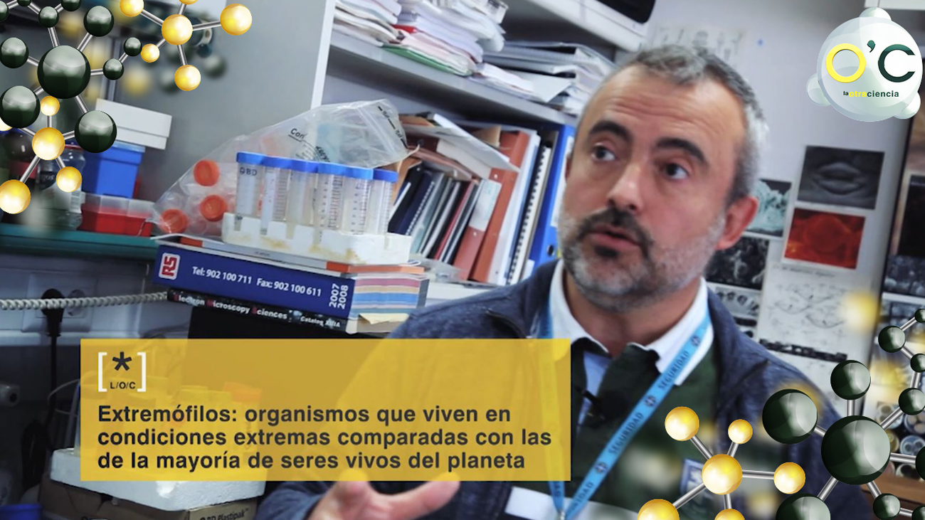 Un origen de la vida, muy extremo