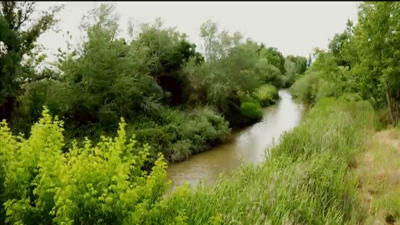 Mundo Madrid 20.11.2018