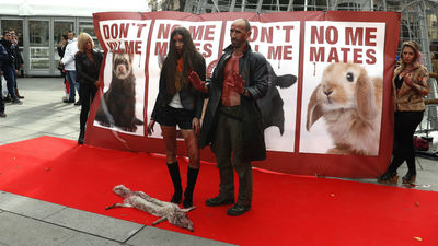 Simulan una pasarela con ropa manchada de sangre contra la industria peletera