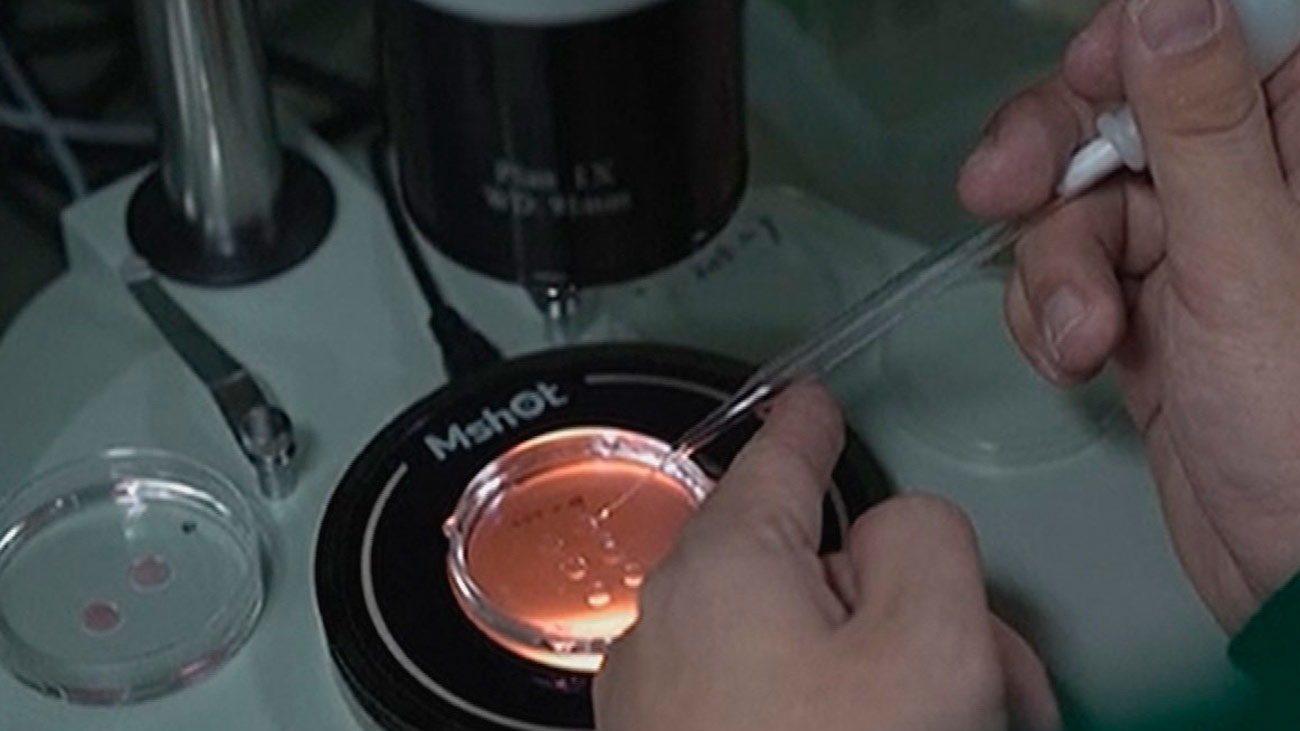 Nacen en China los primeros bebés editados genéticamente