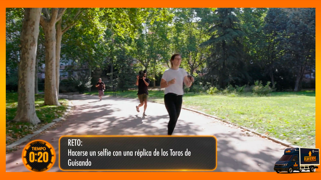 El reto: hacerse una foto con los toros de Guisando