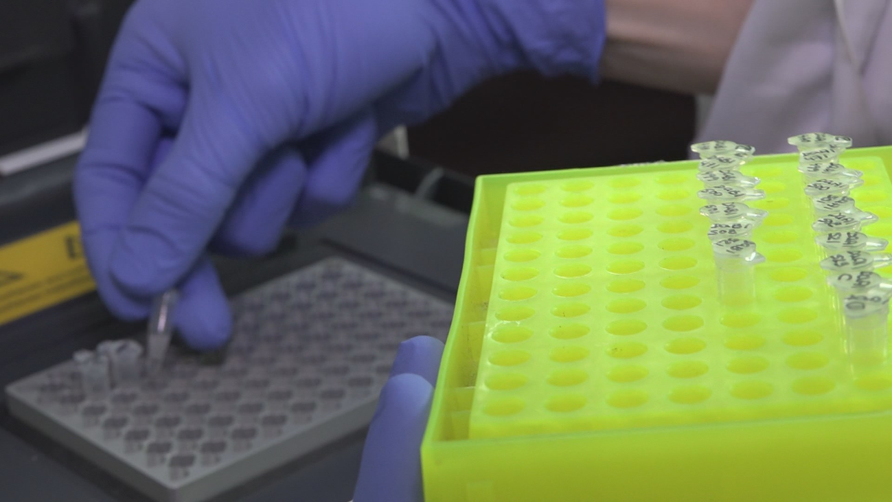 Crean los dos primeros bebés modificados genéticamente