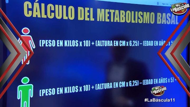 Aprende a calcular el metabolismo basal