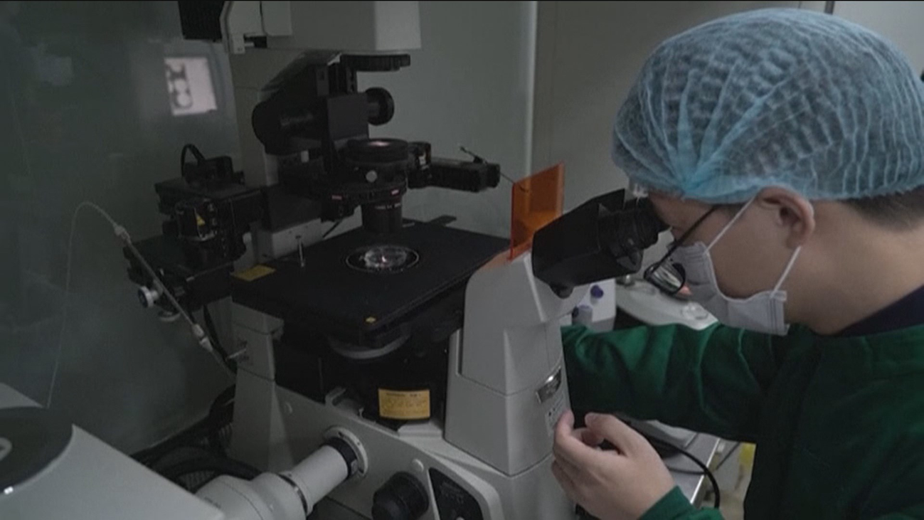 Científicos avisan de los riesgos de editar genéticamente embriones