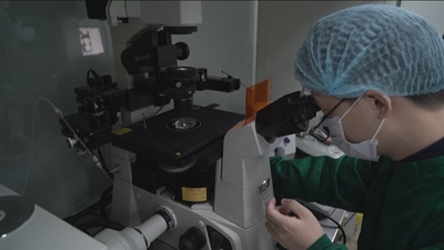 Científicos avisan de los riesgos de editar genéticamente embriones