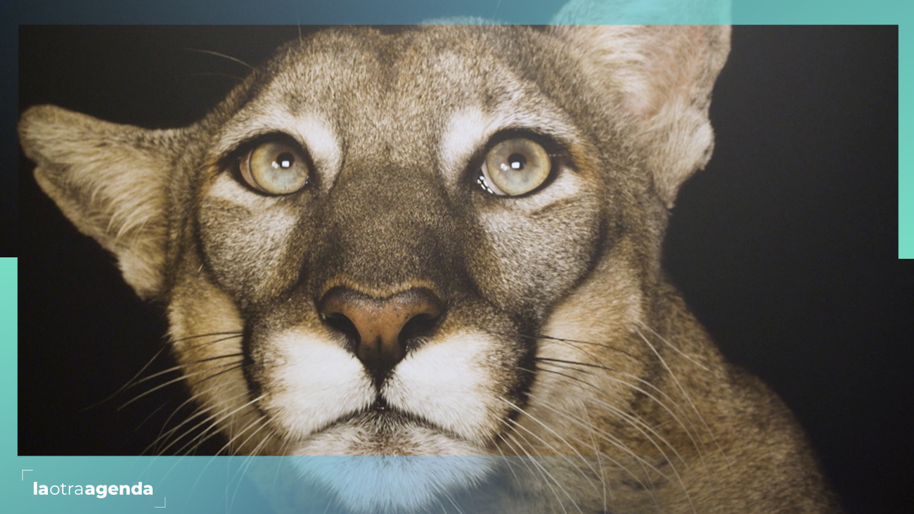 Photo Ark, en el Museo Nacional de Ciencias Naturales