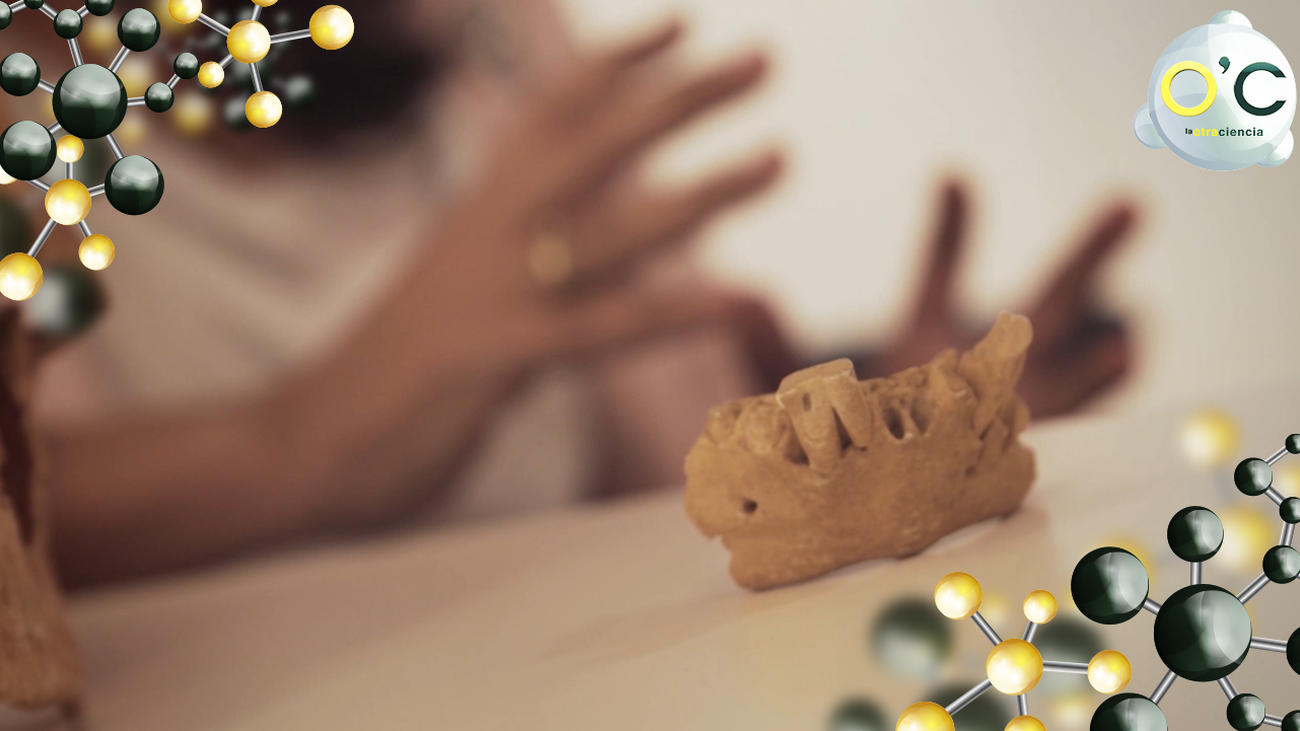 Gran descubrimiento en la Sima del Elefante