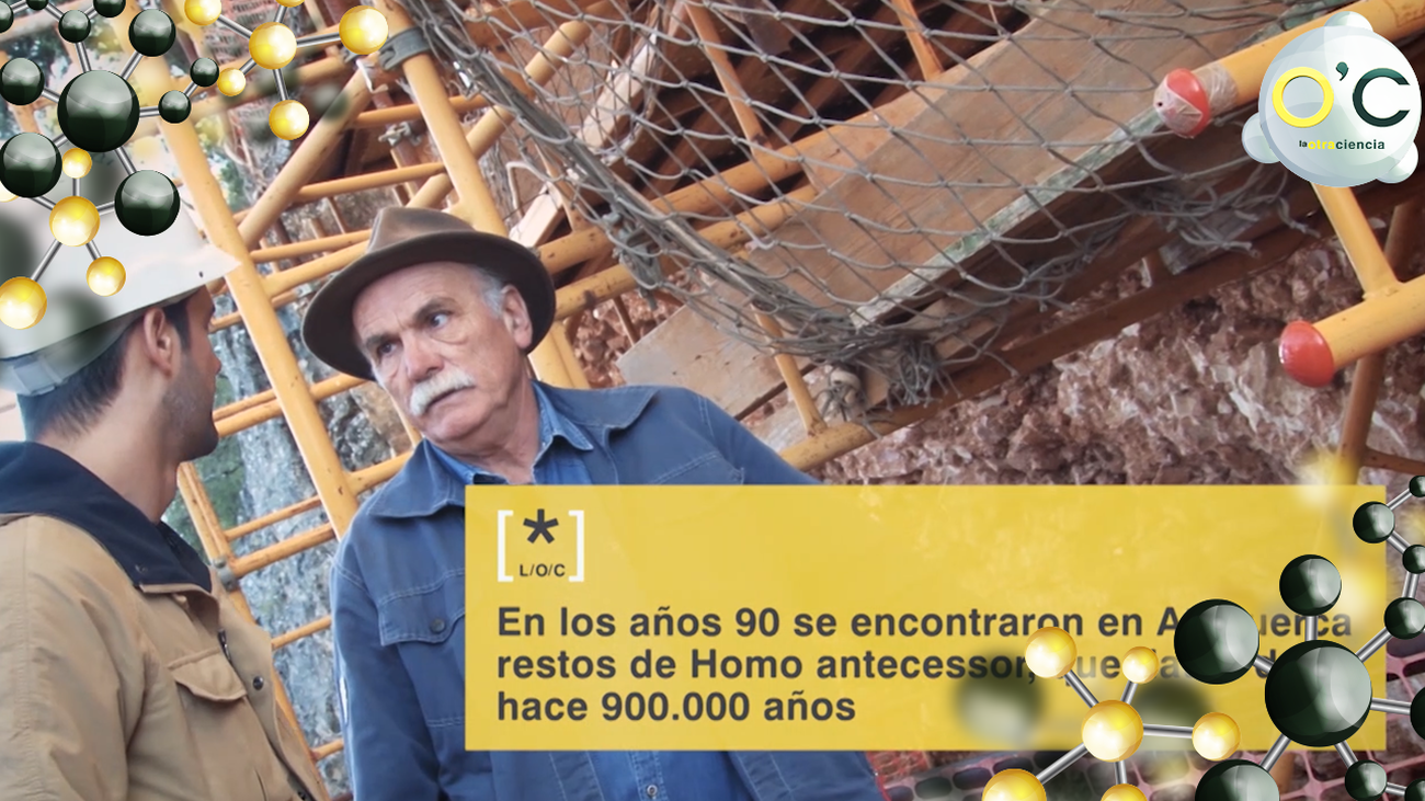 El “Homo Antecessor”, una especie de homínido descubierto en Atapuerca