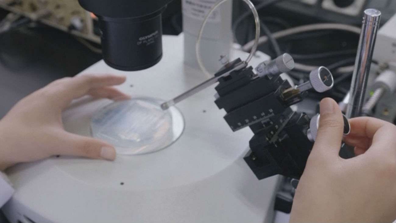 Células madre y cordones umbilicales, el camino para curar el Sida