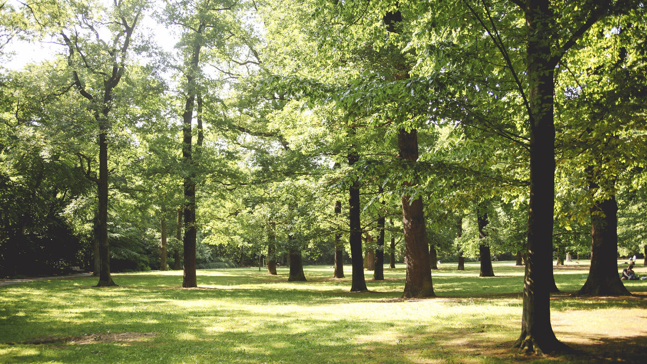 Día Internacional de la Discapacidad: Parques accesibles para los invidentes