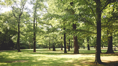 Día Internacional de la Discapacidad: Parques accesibles para los invidentes